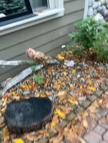 Poster for Pep Talk video from Too Turnt Tony