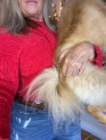 Poster for Gift video from Lenna Paytas