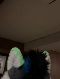 Poster for Other video from Kiwi Fox