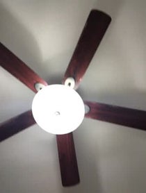 Poster for Other video from The Williams Fam