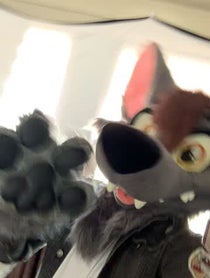 Poster for Other video from Ace Of Hearts Fox