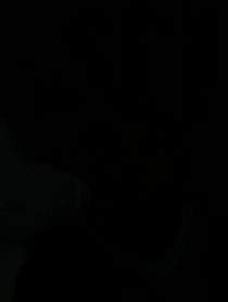 Poster for Other video from BOW WOW