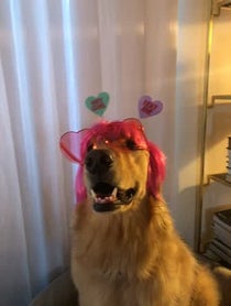 Poster for Valentine's Day video from Sawyer