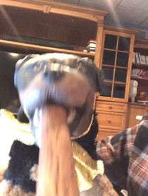 Poster for Holiday video from Triumph the Insult Comic Dog
