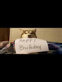 Poster for Birthday video from Banner The Super Dog