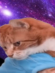 Poster for Birthday video from Keyboard Cat