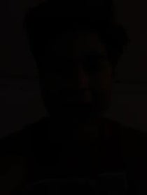 Poster for Other video from Bradlee