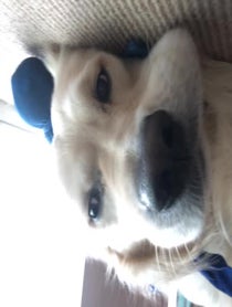 Poster for Other video from Carlito Olivero