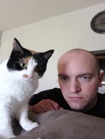 Poster for Other video from BigCatDerek