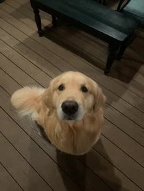 Poster for Pep Talk video from Garth the Golden