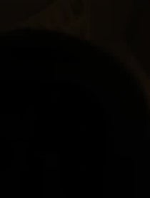 Poster for Other video from Walter Harris
