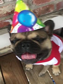 Poster for Birthday video from Nino Pacino Brown
