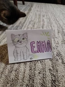 Poster for Birthday video from Maya the Cat