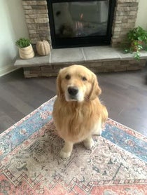 Poster for Birthday video from Garth the Golden