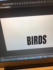 Poster for Other video from Tom Bell