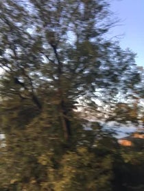 Poster for Other video from Downtown Julie Brown