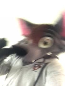 Poster for Other video from Ace Of Hearts Fox