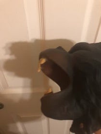 Poster for Question video from Ape puppet