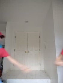 Poster for Other video from Thing 1 and Thing 2