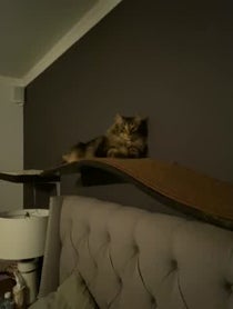 Poster for Birthday video from Aaron Purr Sir