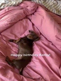 Poster for Birthday video from Pip