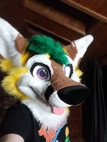 Poster for Other video from Pineapple Fox