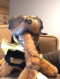 Poster for Birthday video from Triumph the Insult Comic Dog