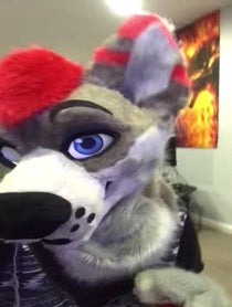 Poster for Other video from Dayzer Husky