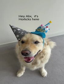 Poster for Birthday video from Horlicks the Golden