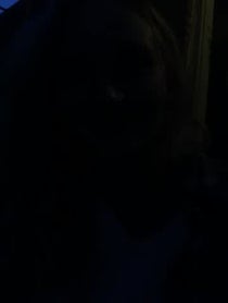Poster for Birthday video from Hollyn
