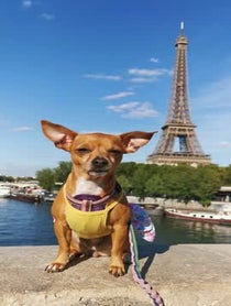 Poster for Other video from Inna The Explorer