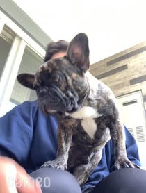 Poster for Intro video video from FaZe Nikan