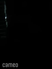 Poster for Intro video video from Lost Wrld