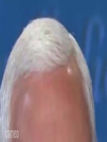 Poster for Intro video video from The Fly On Mike Pence’s Head