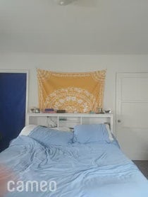 Poster for Intro video video from borkus