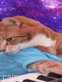 Poster for Intro video video from Keyboard Cat