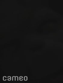 Poster for Intro video video from The Grinch