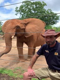 Poster for Intro video video from Kelly the African Elephant