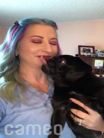 Poster for Intro video video from Chubbs The Wampug