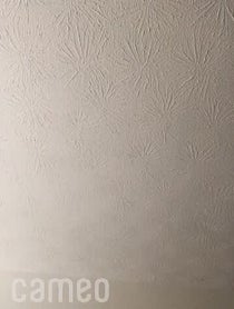 Poster for Intro video video from Kestin Howard