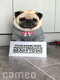 Poster for Intro video video from Puggy Smalls