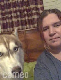 Poster for Intro video video from Banner The Super Dog