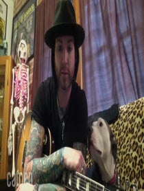 Poster for Intro video video from Ace Von Johnson