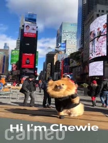 Poster for Intro video video from Hi_im_Chewie
