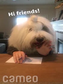Poster for Intro video video from Rocco