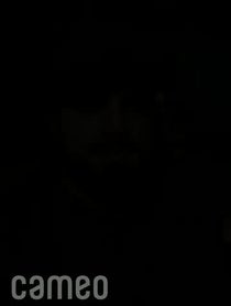 Poster for Intro video video from Dakoda Shepley