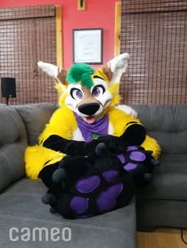 Poster for Intro video video from Pineapple Fox