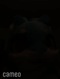 Poster for Intro video video from Sherbert