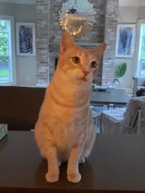 Poster for Intro video video from Mike Boudet host and creator of Sword and Scale