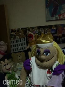 Poster for Intro video video from Princess tanya